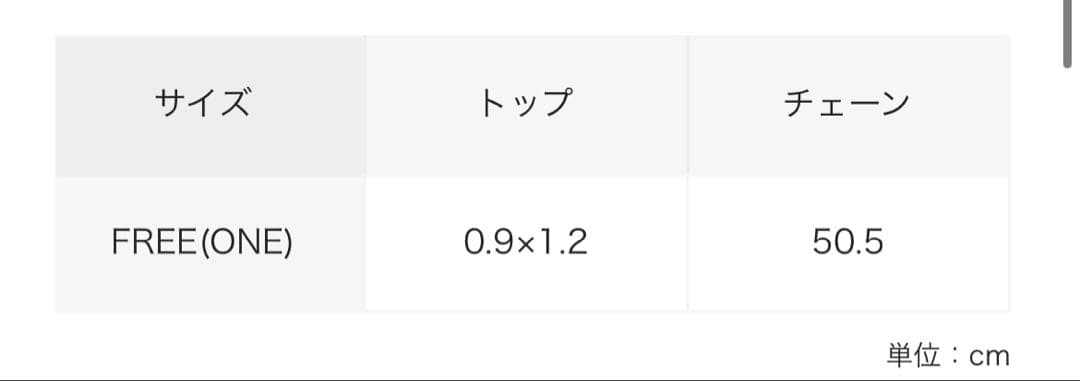 【専用】needles ネックレス　シルバー　925