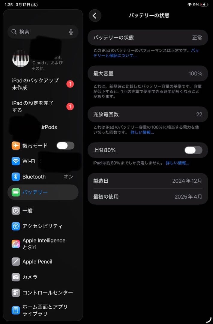 ipad mini (A17pro) 第7世代 256GB 本体