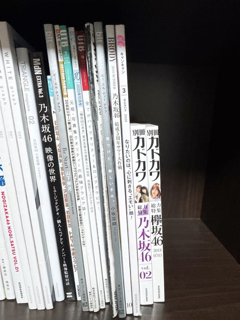 乃木坂46 櫻坂46 日向坂46 写真集 雑誌　まとめ売り　32冊