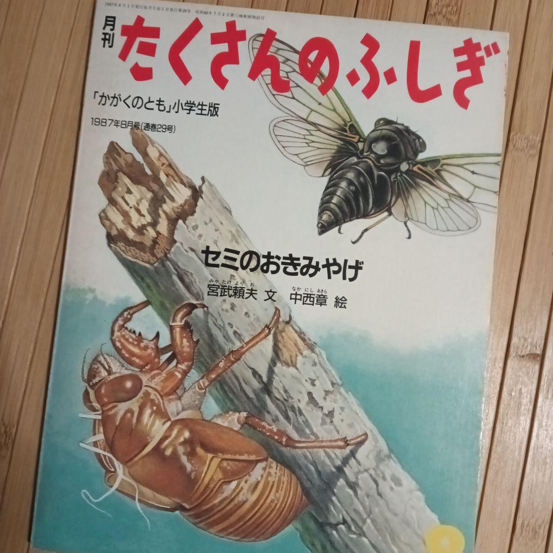 希少！【たくさんのふしぎ】33冊＋見本誌