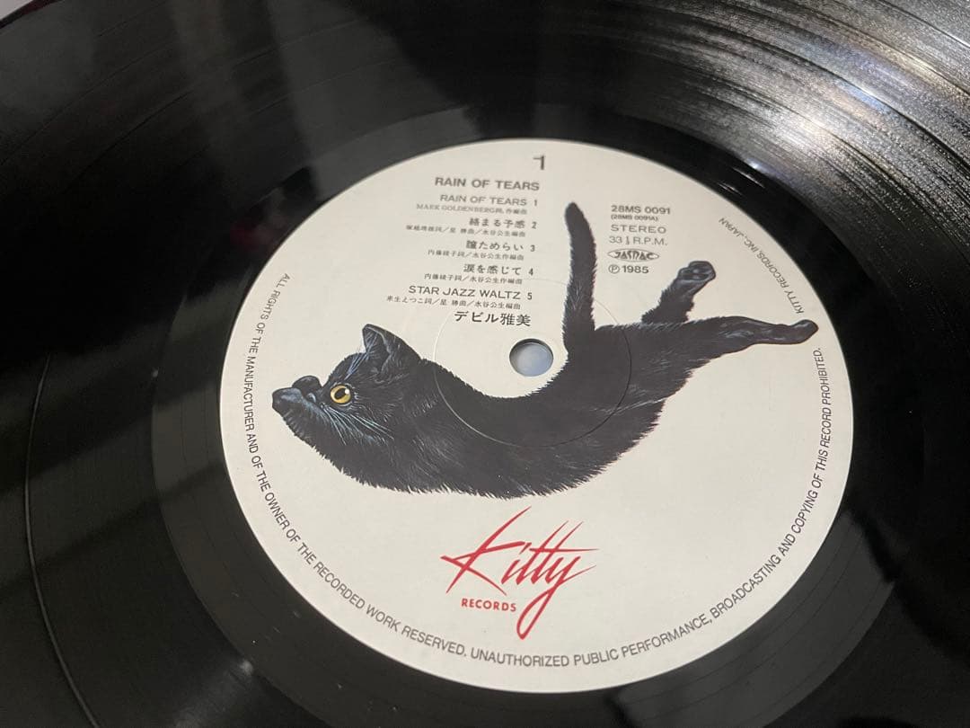 デビル雅美 レイン・オブ・ティアーズ RAIN OF TEARS LP