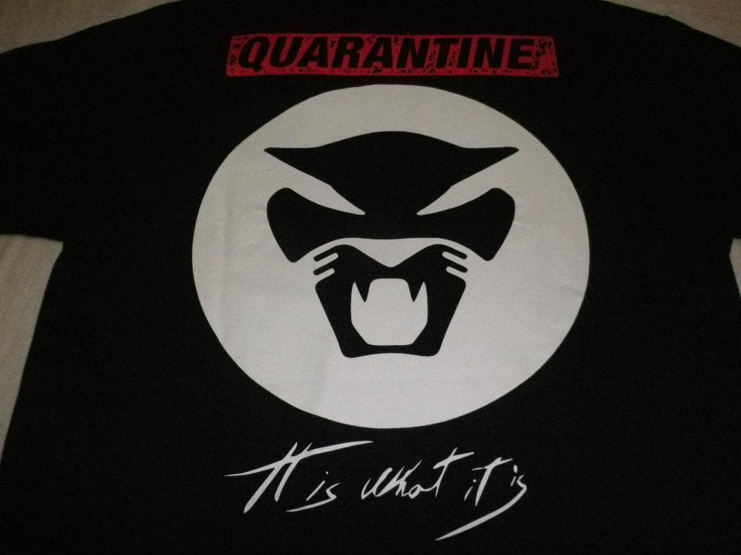 THUNDERCAT BEATINK Tシャツ サンダーキャット
