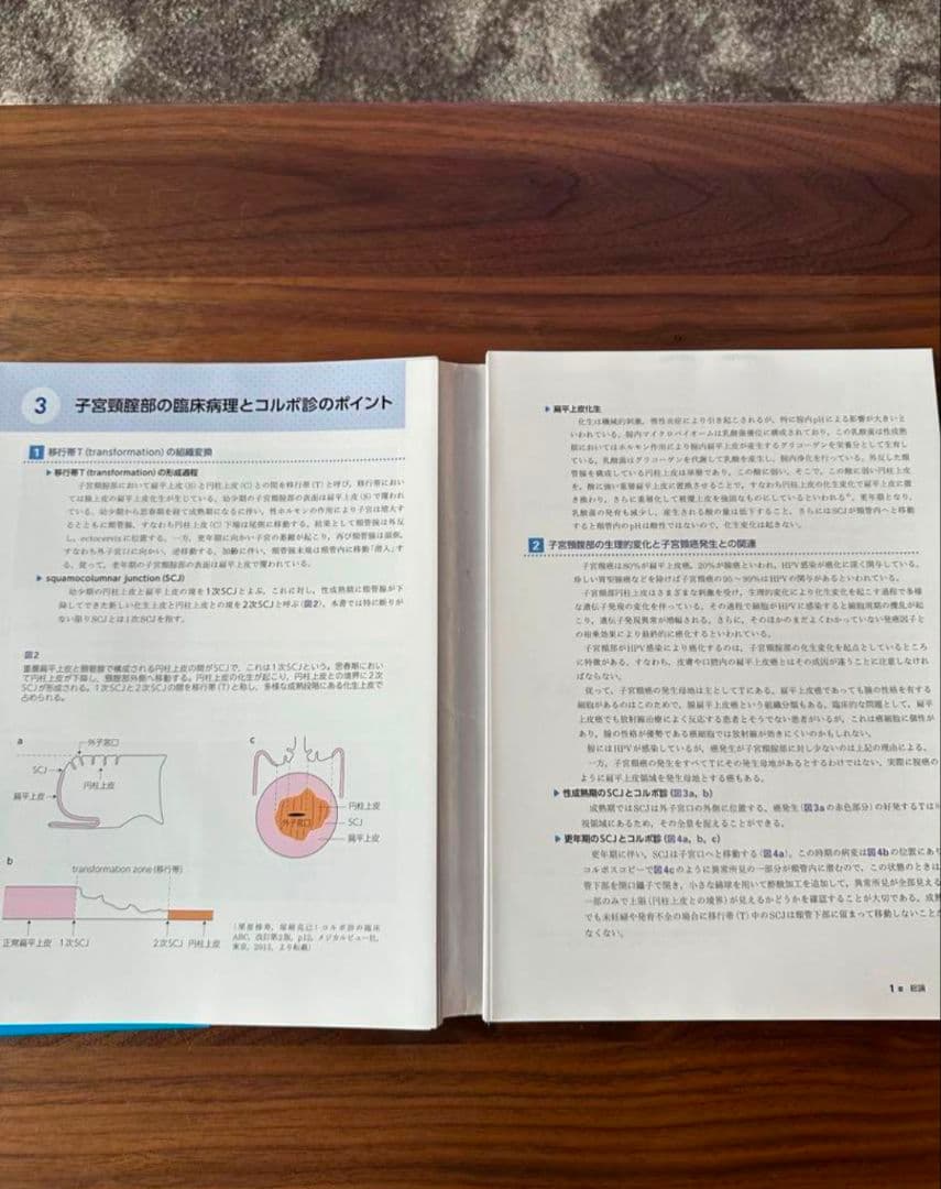 【裁断】コルポ診の臨床ABC