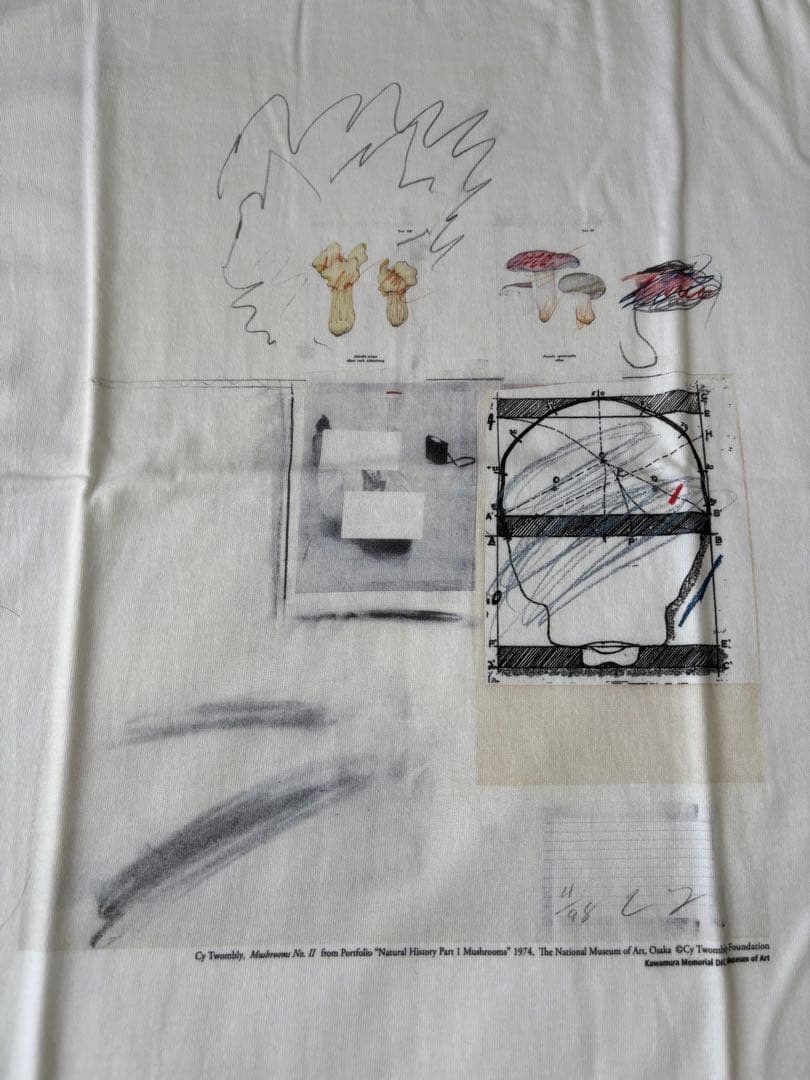川村記念美術館Cy Twombly サイ トゥオンブリ展 記念TシャツMサイズ