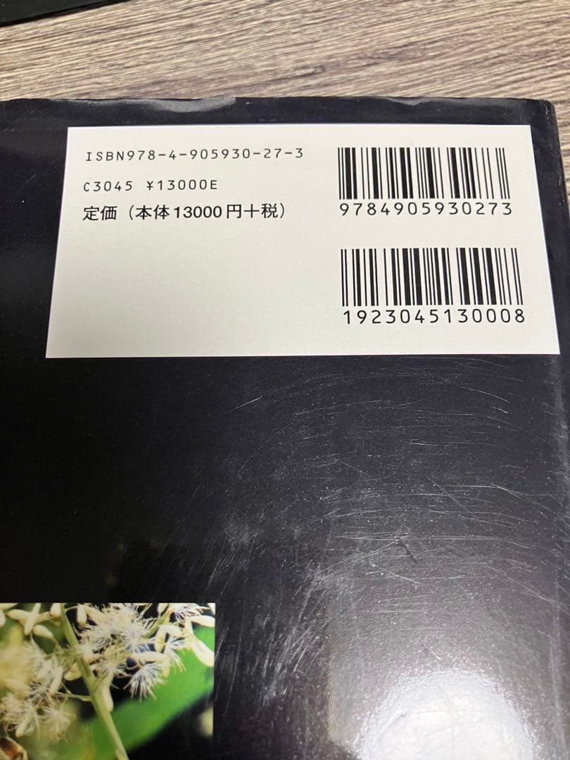 蜂からみた花の世界 佐々木正己　大型本