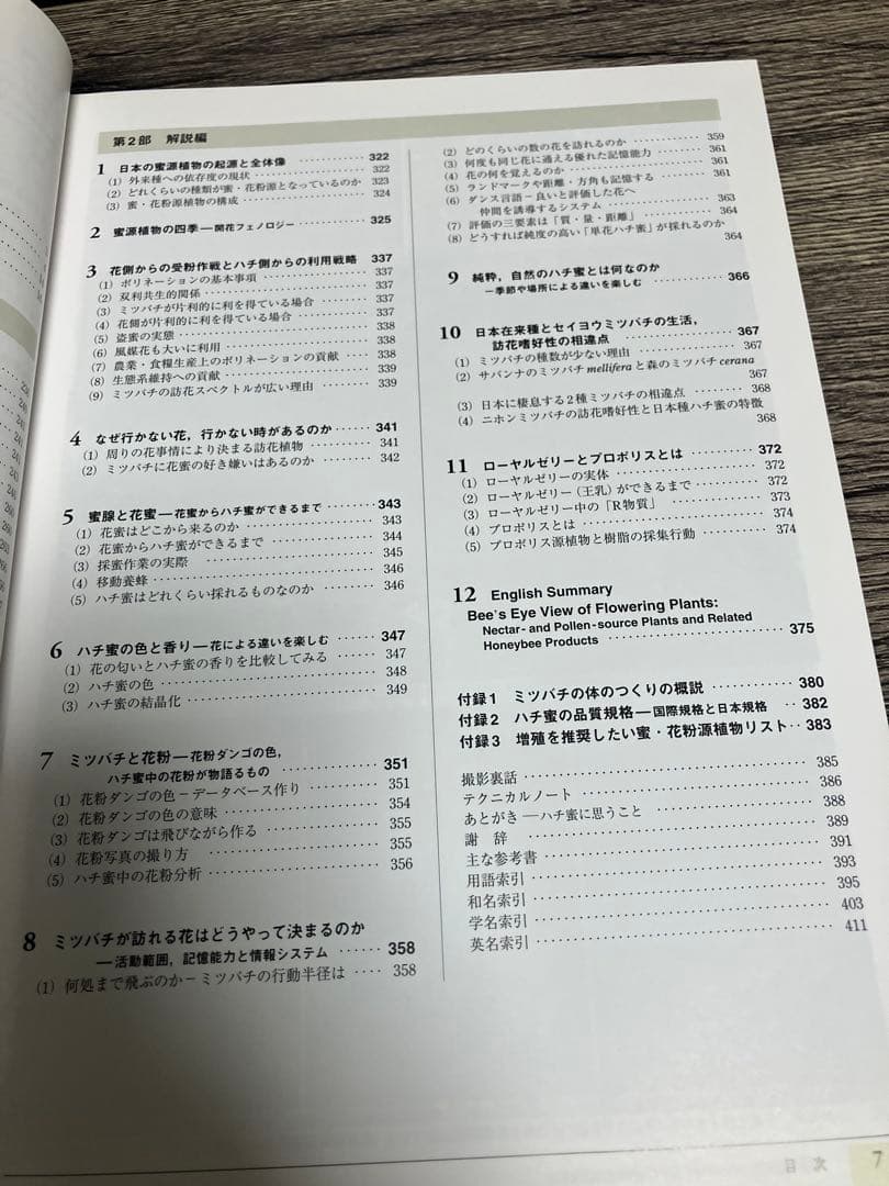 蜂からみた花の世界 佐々木正己　大型本