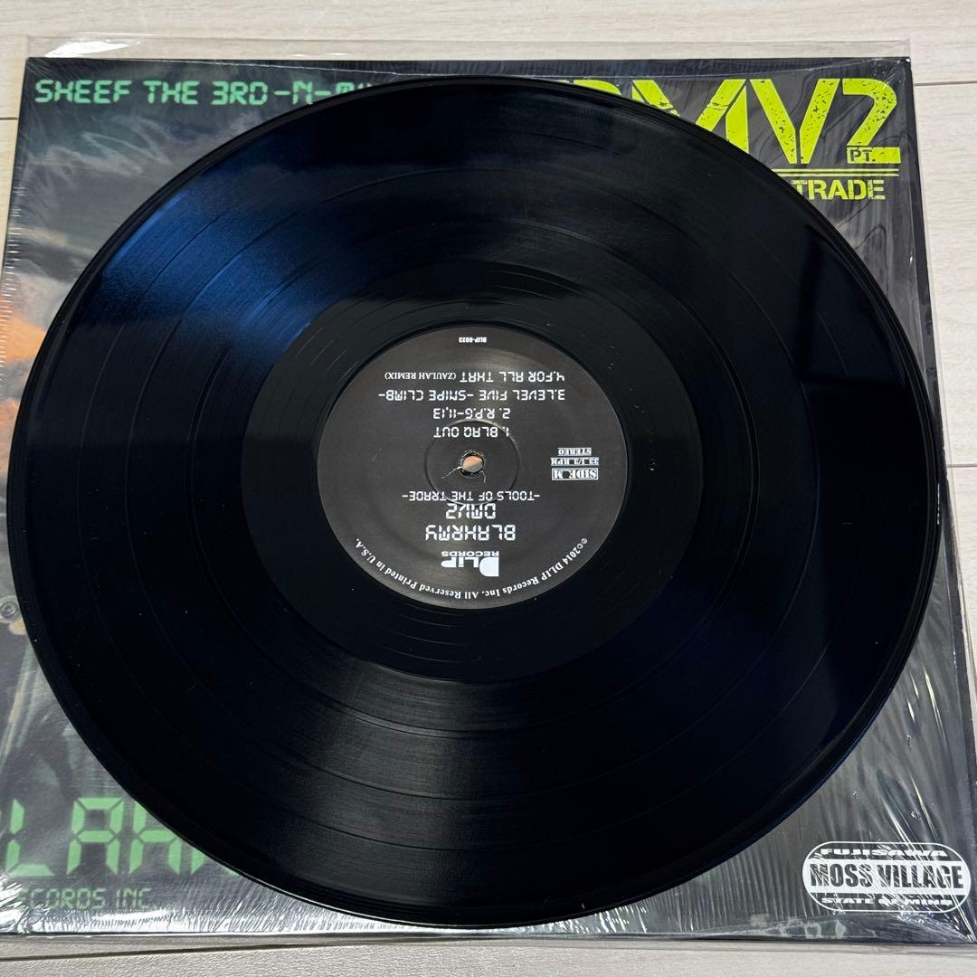 DMV2 DLIP ブラーミー BLAHRMY レコード LP 希少 DDF
