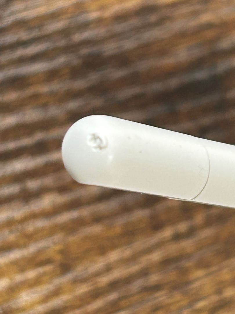 Apple Pencil (USB-C)箱付き
