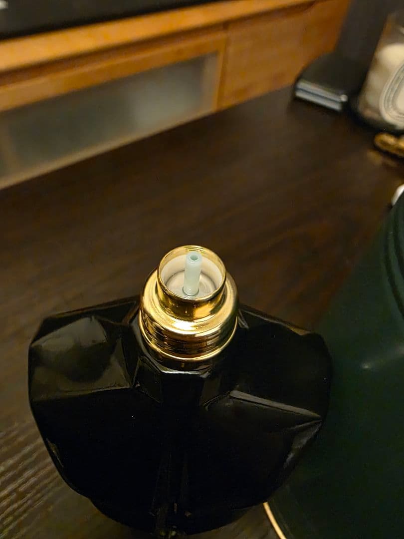 香水(ユニセックス) Jean Paul Gaultier Le Beau Le Parfum