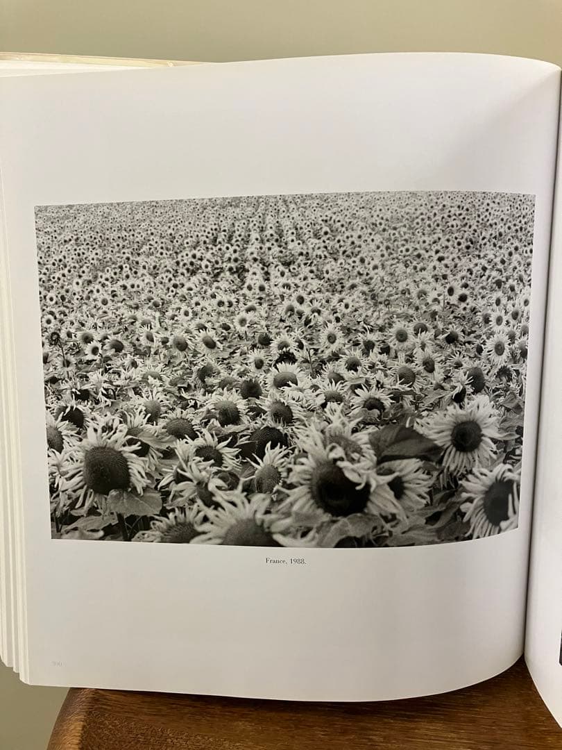 【EDOUARD BOUBAT / A GENTLE EYE】