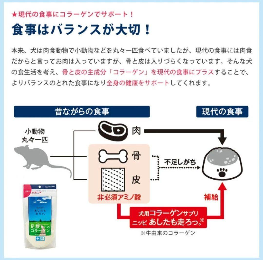 ニッピ 明日も走ろっ 犬 サプリメント コラーゲン 牛由来 160g 犬 猫