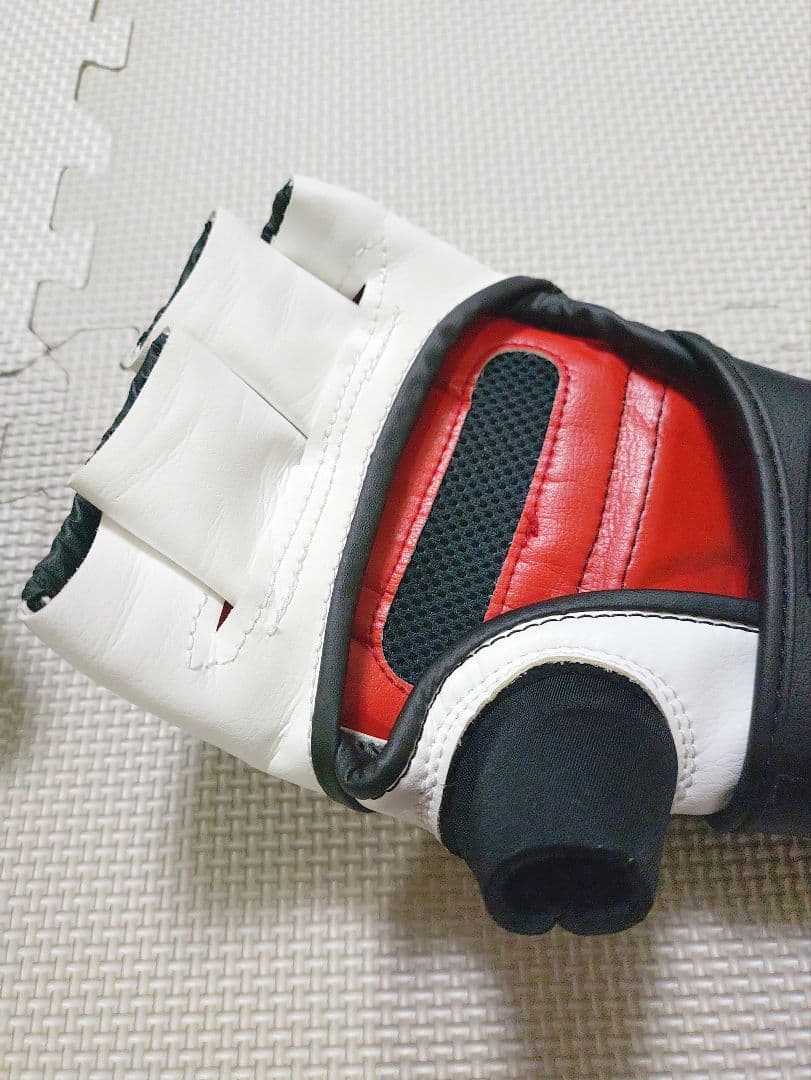 isami イサミ　MMAウォシャブルグローブ　Lサイズ