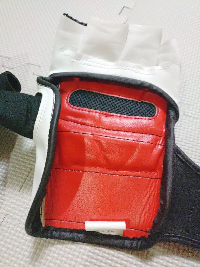isami イサミ　MMAウォシャブルグローブ　Lサイズ