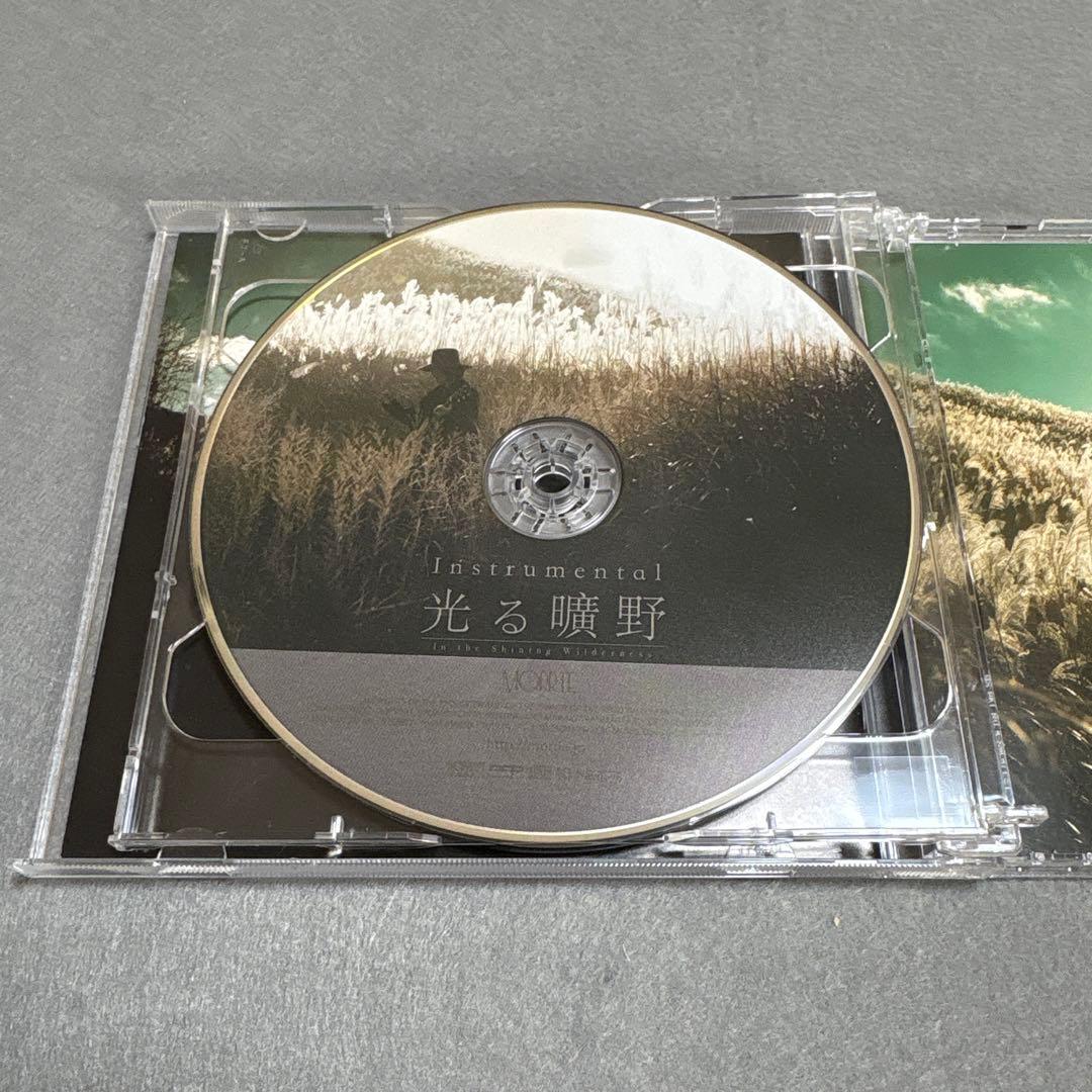 MORRIE 光る曠野
