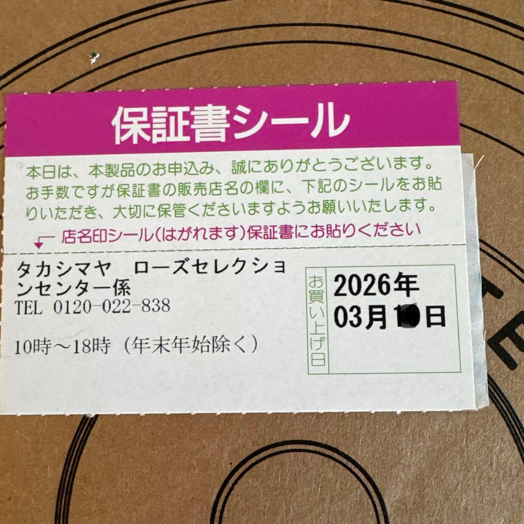 【新品未使用】ストウブ ココット de GOHAN M ホワイト16cm