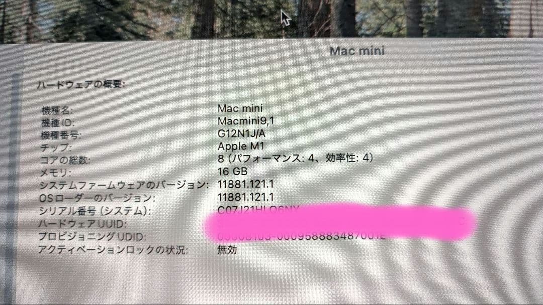 ​【極美品・完品】M1 Mac mini メモリ16GB / SSD 256GB