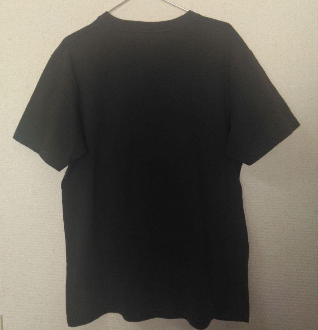 stussy photo tee Tシャツ2013年限定