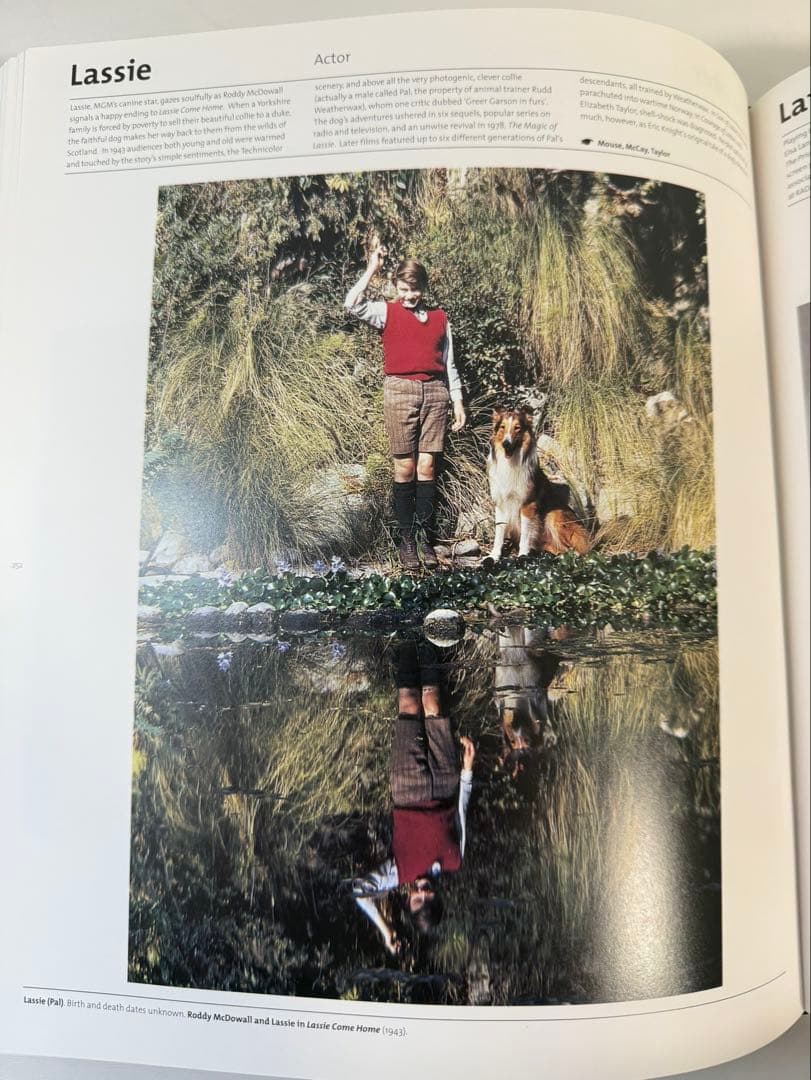 The Movie Book（Phaidon）　北野武