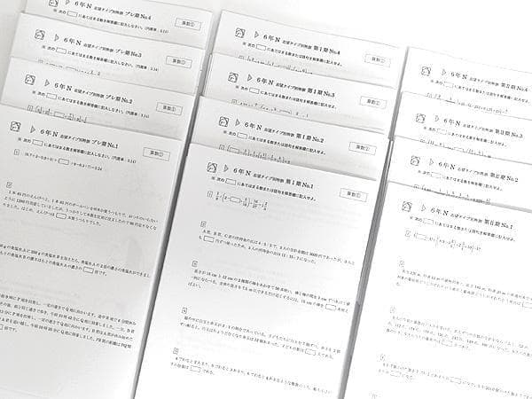 馬渕教室 小6 Nクラス 灘コース 志望タイプ別特訓 算国理 全12回
