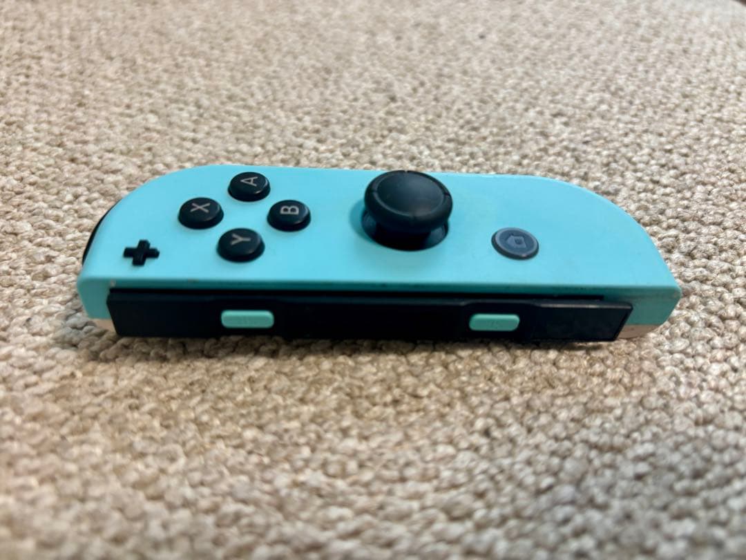 どうぶつの森Nintendo Switch 本体 (SDカード、ケース付き)
