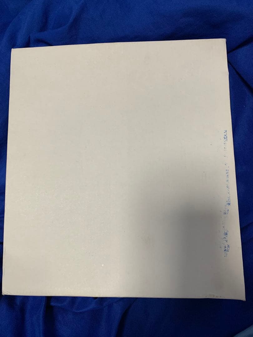 【未開封品】第12回 伊豆急全線ウォーク完歩記念 ピンバッジセット 鉄道 電車