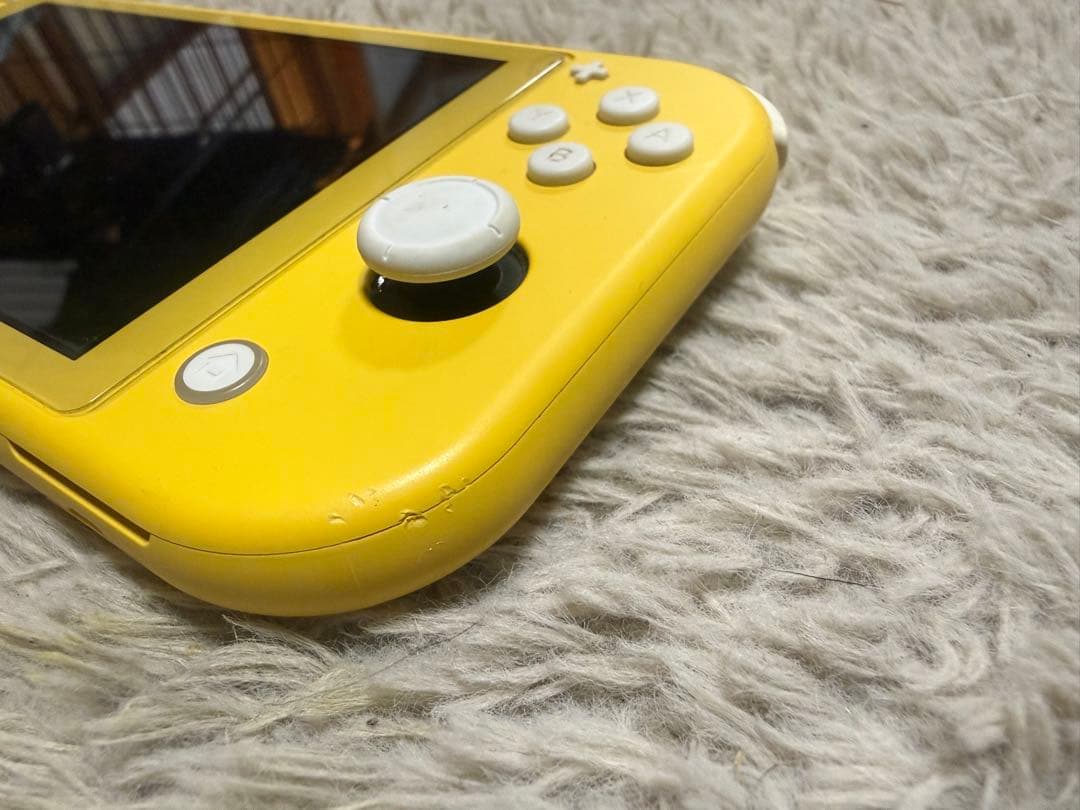 ニンテンドースイッチライト　充電器　箱付き