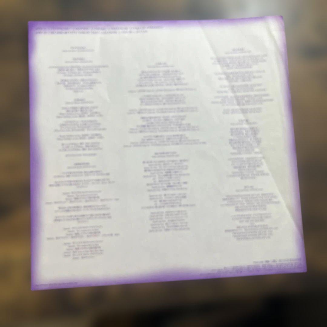 邦楽 BLANKEY JET CITY HARLEM JETS LP