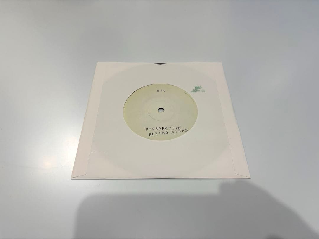 sinsuke fujieda perspective シンスケ フジエダ 7”