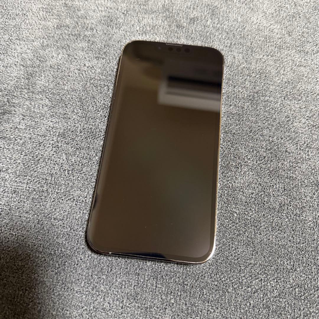Apple iPhone 13 Pro グラファイト 256GB SIMフリー