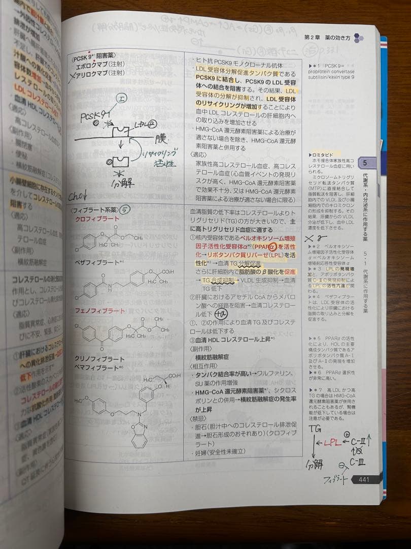 青本　2022 青問　薬ゼミ 107回
