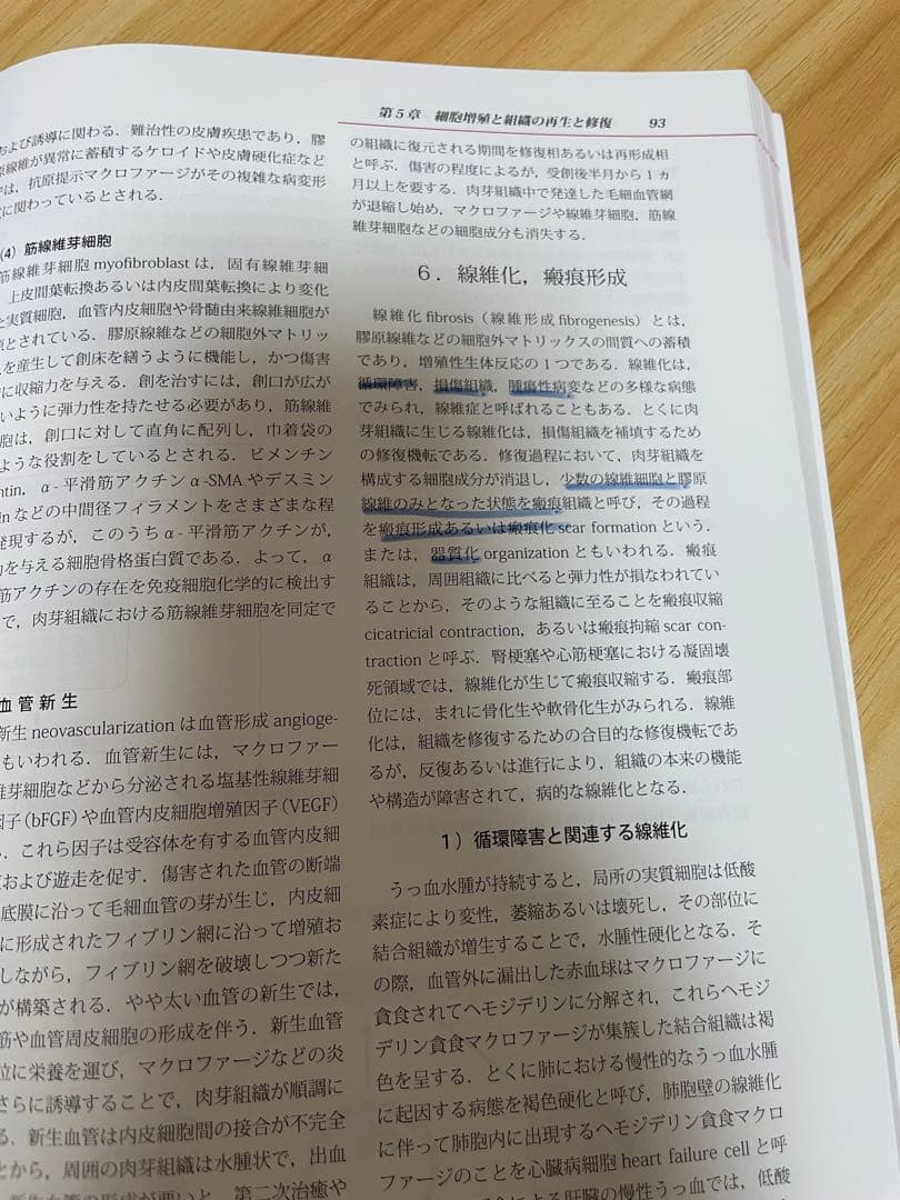 動物病理学総論 第4版