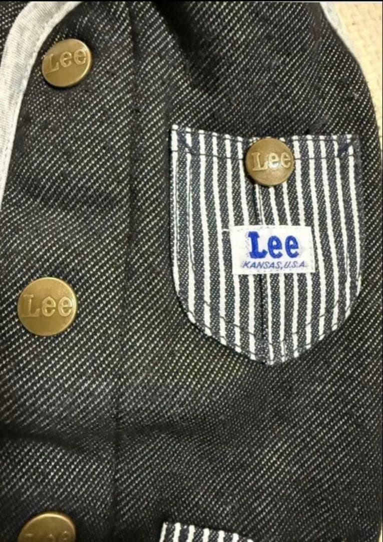 ペットパラダイス　Lee 背中開きベスト　フェザーニット　DS
