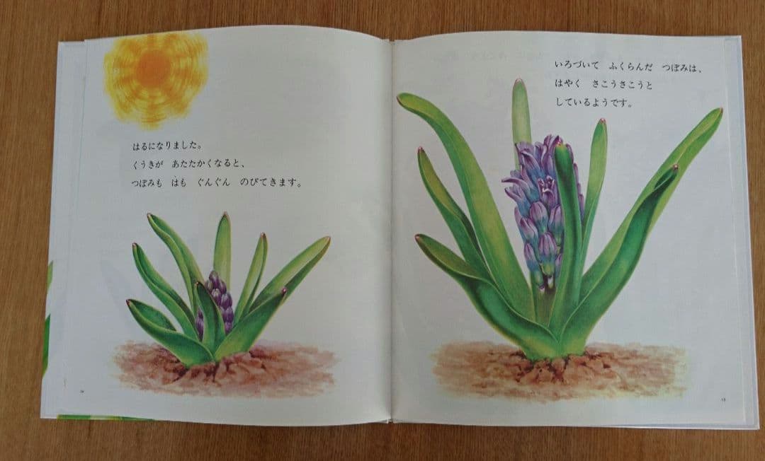 入手困難品・福音館書店「ひやしんす」
