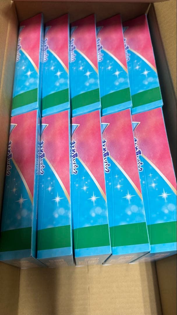 ソフィシンクロフィット 多い日の昼用24ピース 10個セット