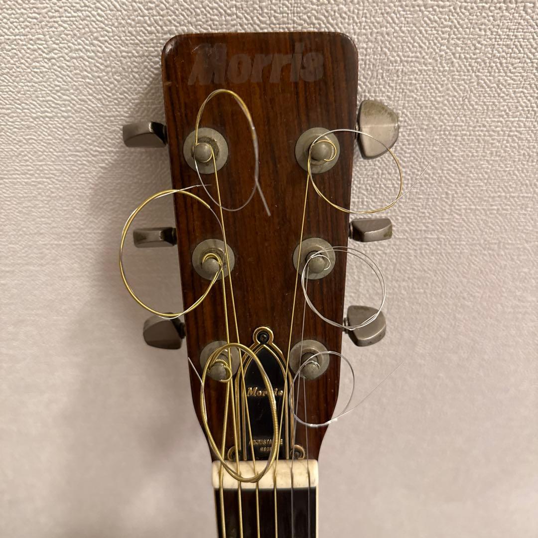 ギター　モーリス　W-28