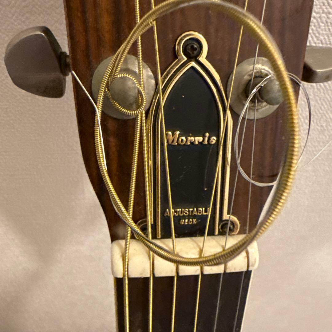 ギター　モーリス　W-28