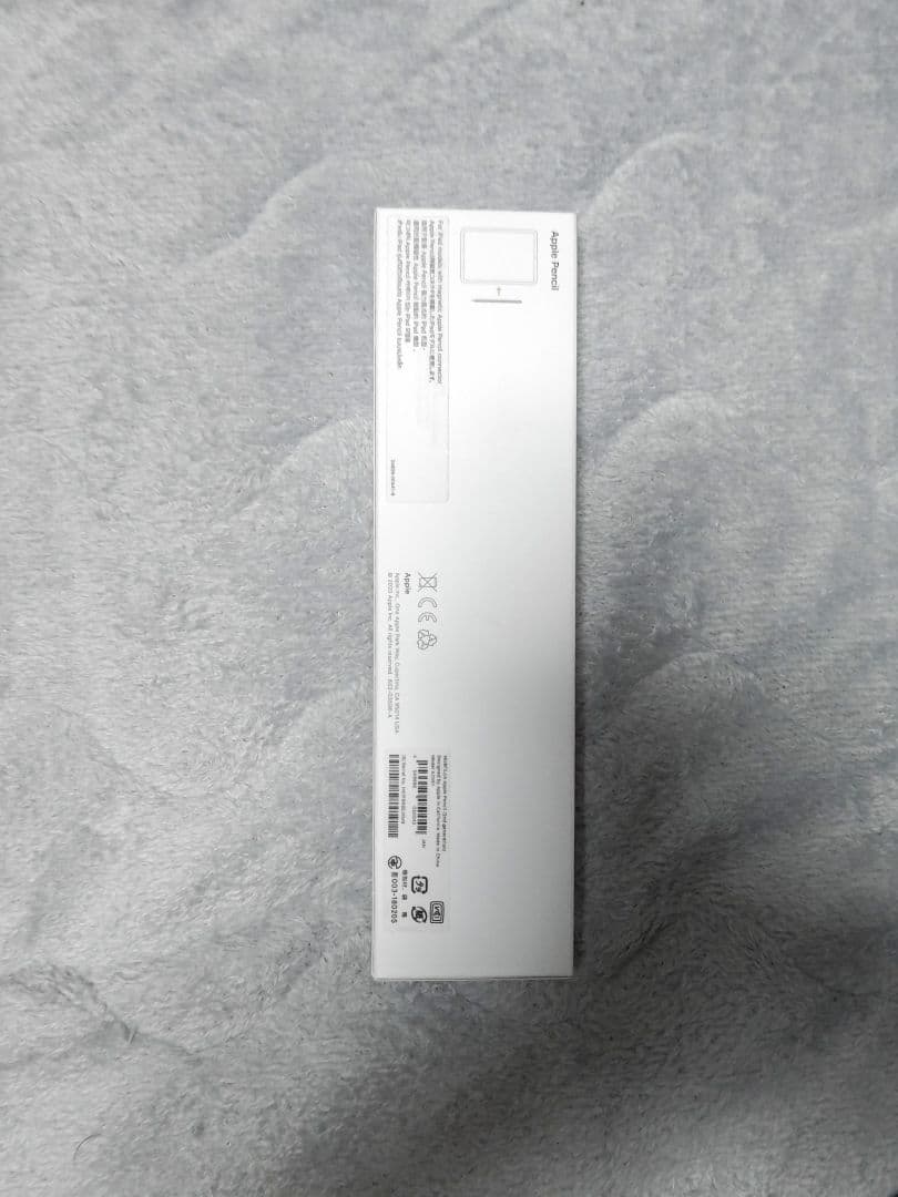 Apple Pencil (第2世代) 専用パッケージ付き