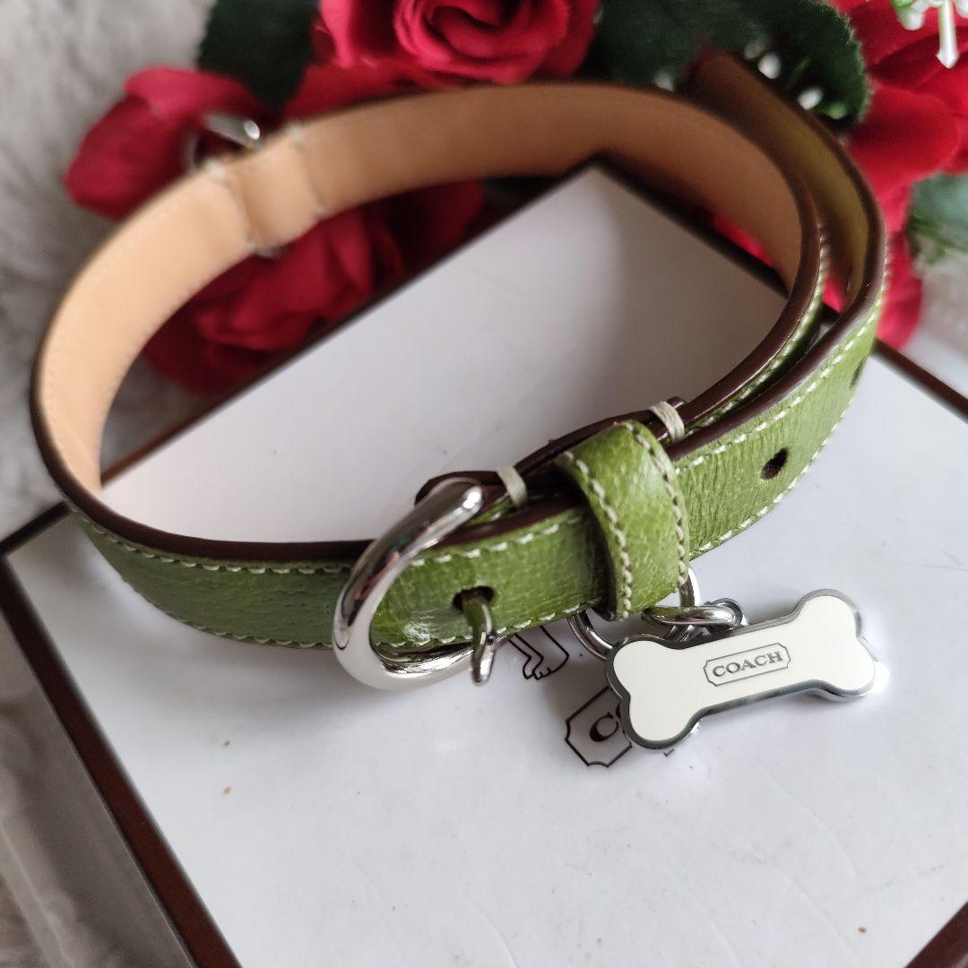 新品　未使用　コーチ　COACH　犬　首輪　М　中型犬　小型犬