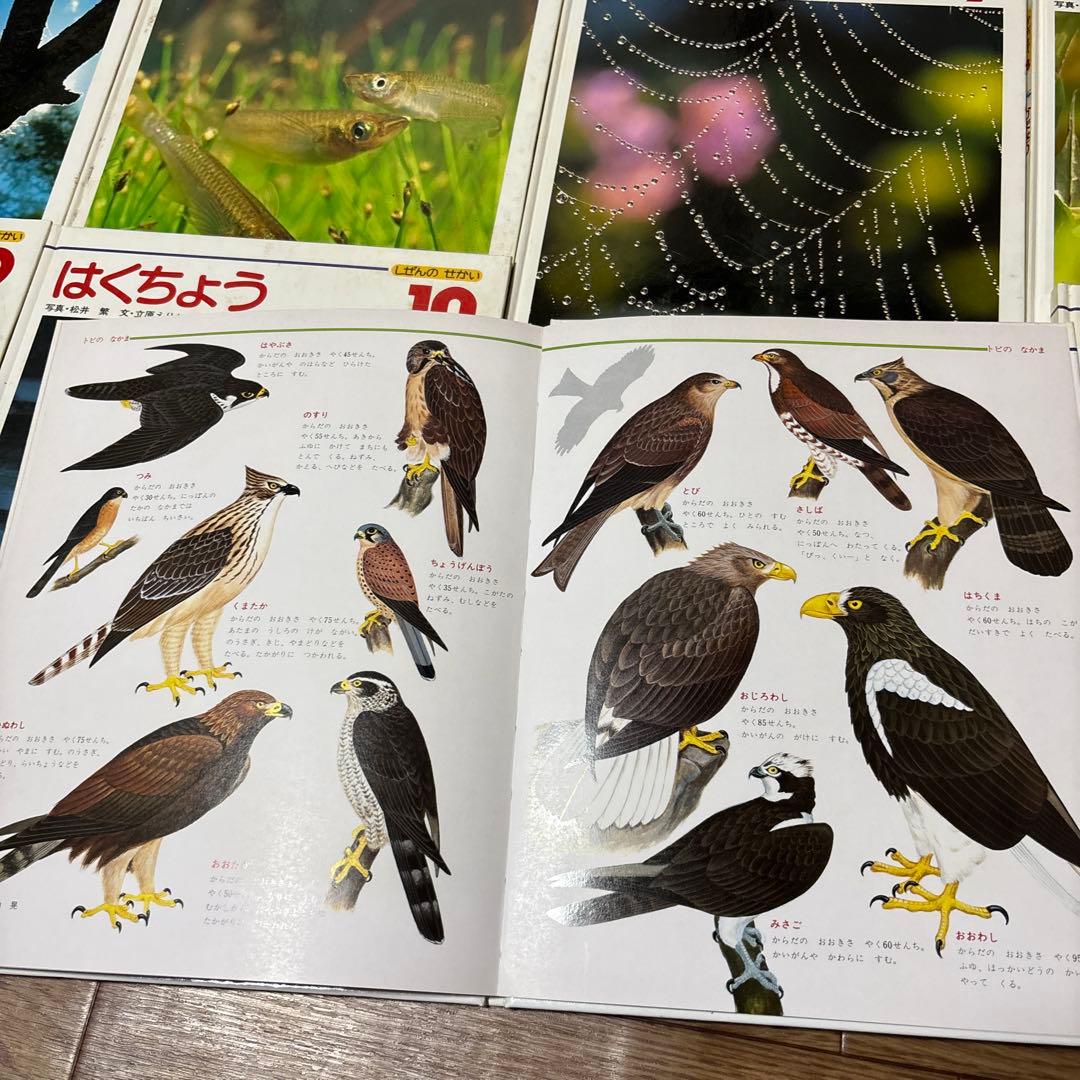 【昭和レトロ】しぜんのせかい　動物の絵本（図鑑）