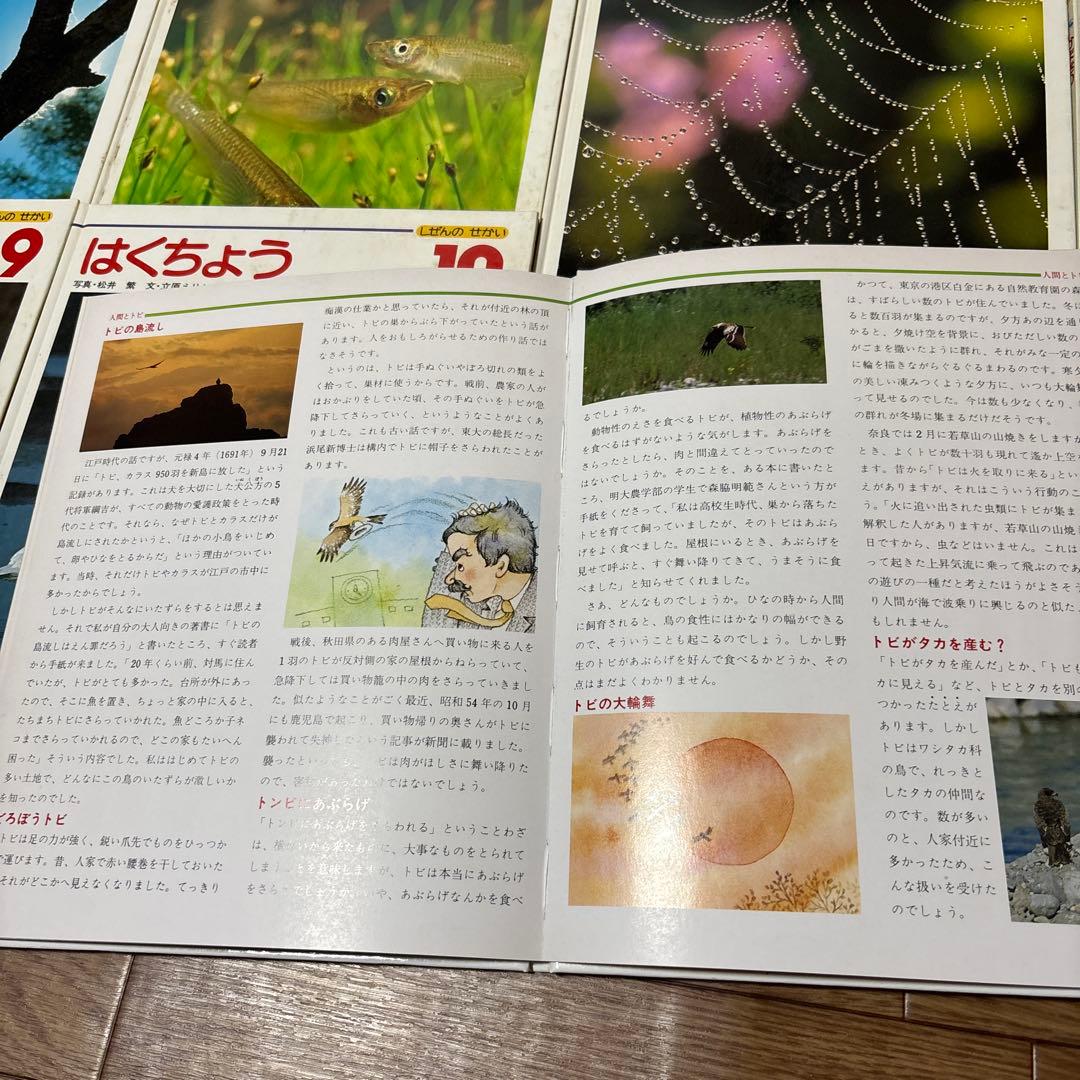 【昭和レトロ】しぜんのせかい　動物の絵本（図鑑）