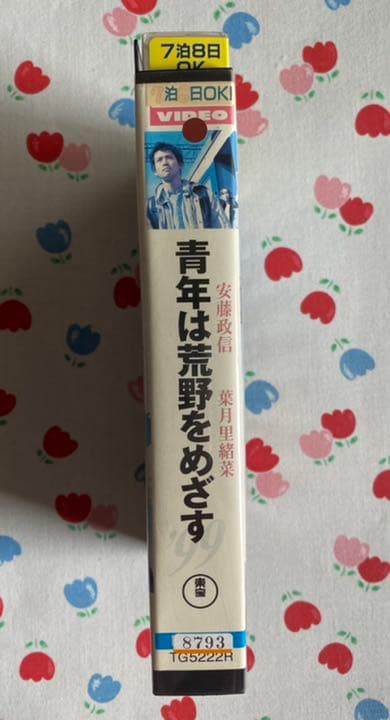 （レア）青年は荒野をめざす　VHS ビデオテープ