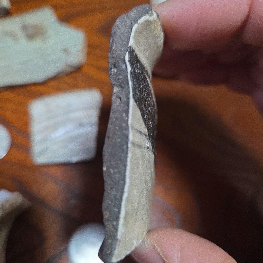李朝　陶片　7点