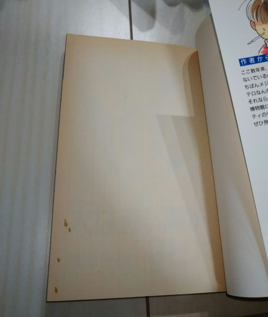 【全巻セット、初版多数】天は赤い河のほとり 全28巻セット