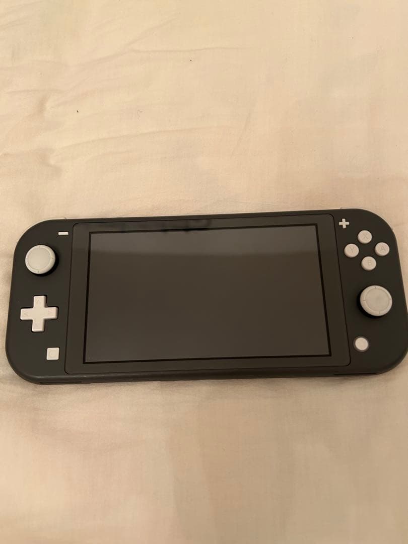 Nintendo Switch Lite 本体のみ【動作確認済み】