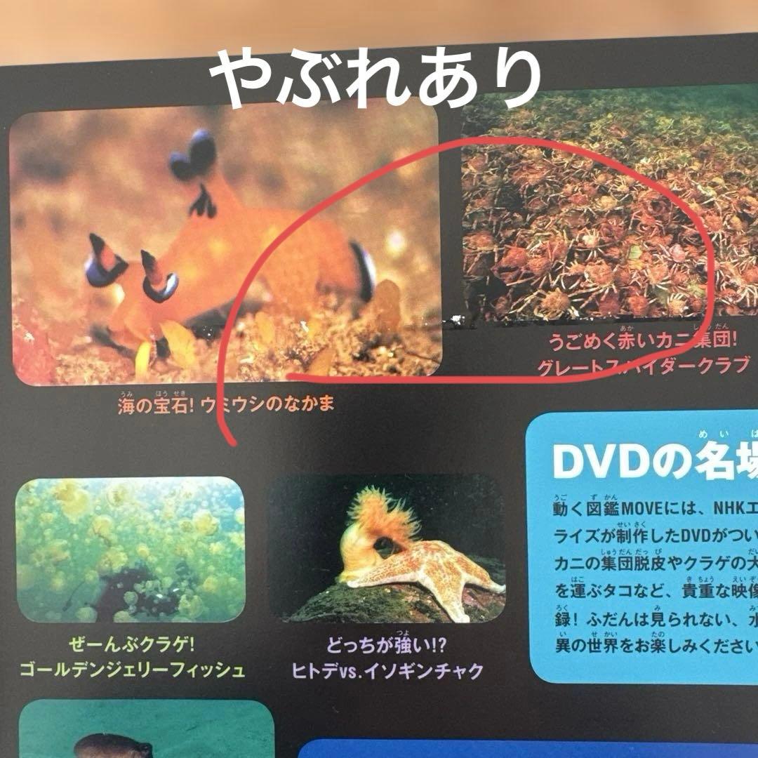 じゃわ　9冊セット　DVD9枚　(中古)