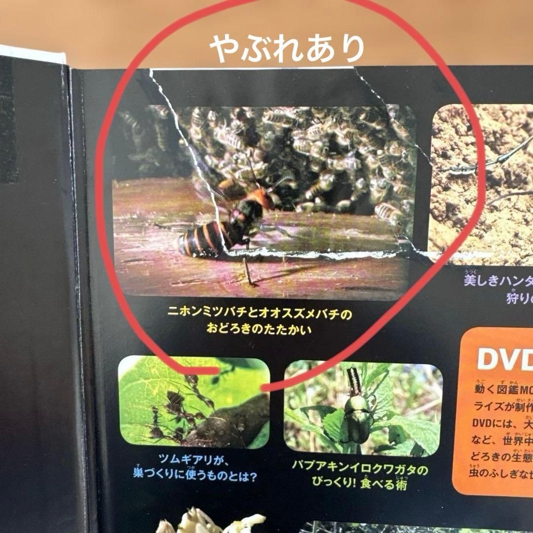 じゃわ　9冊セット　DVD9枚　(中古)