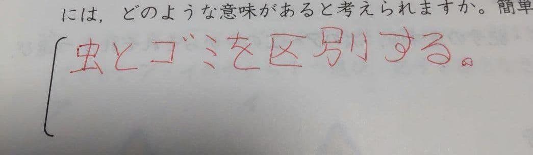 z会エブリスタディ小4　８ヶ月分　国語、算数、理科、社会、思考・表現力