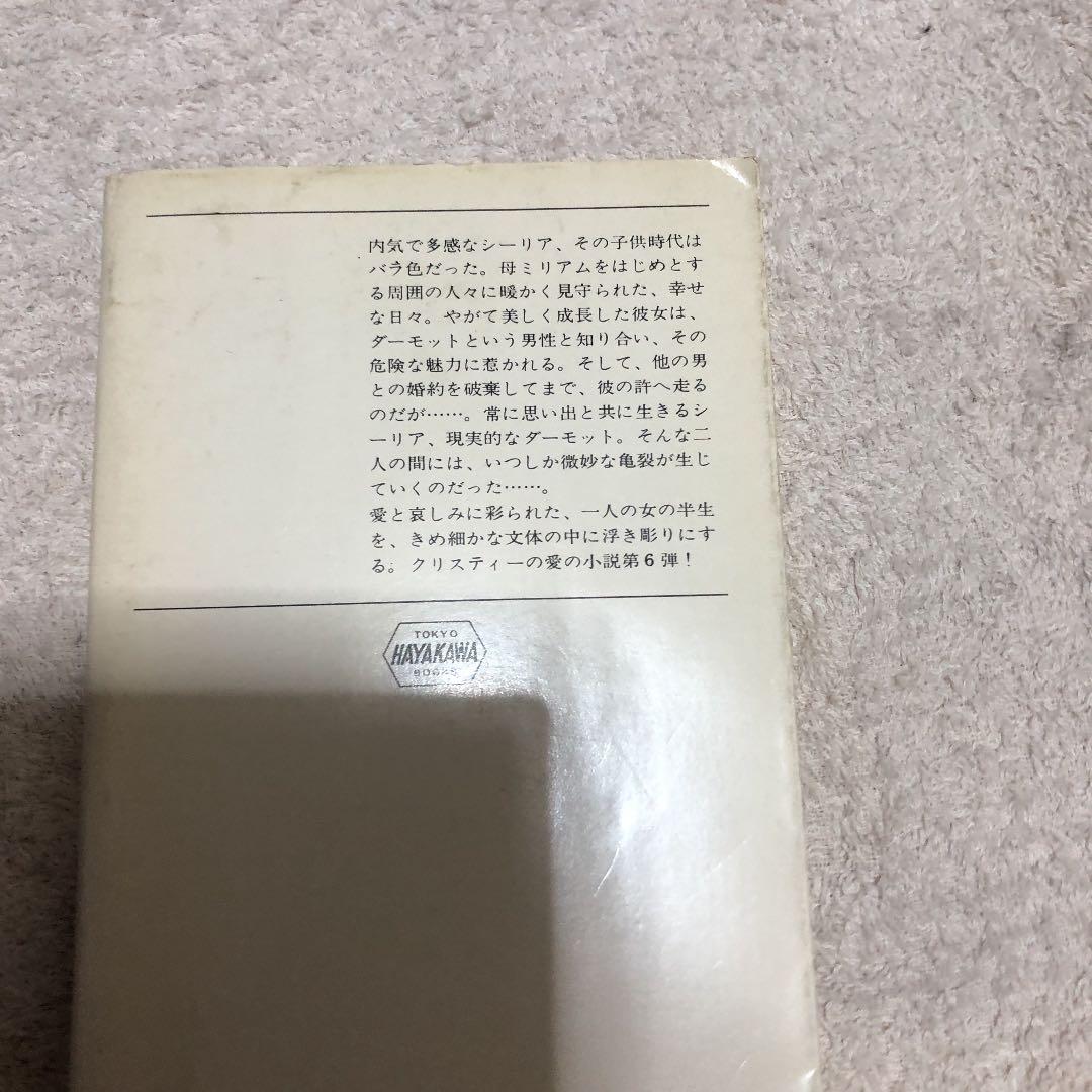 未完の肖像