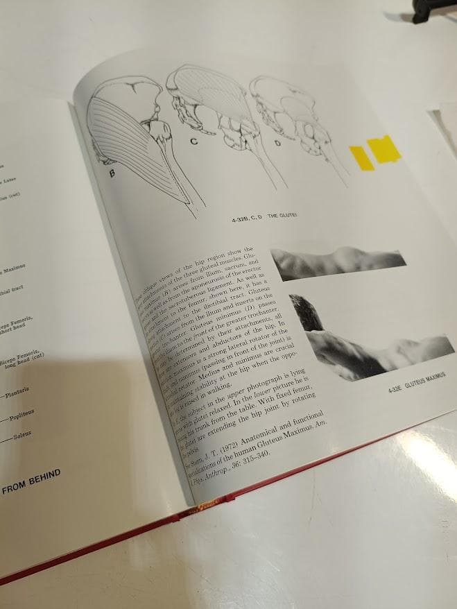 健康・医学 Grant's ATLAS OF ANATOMY