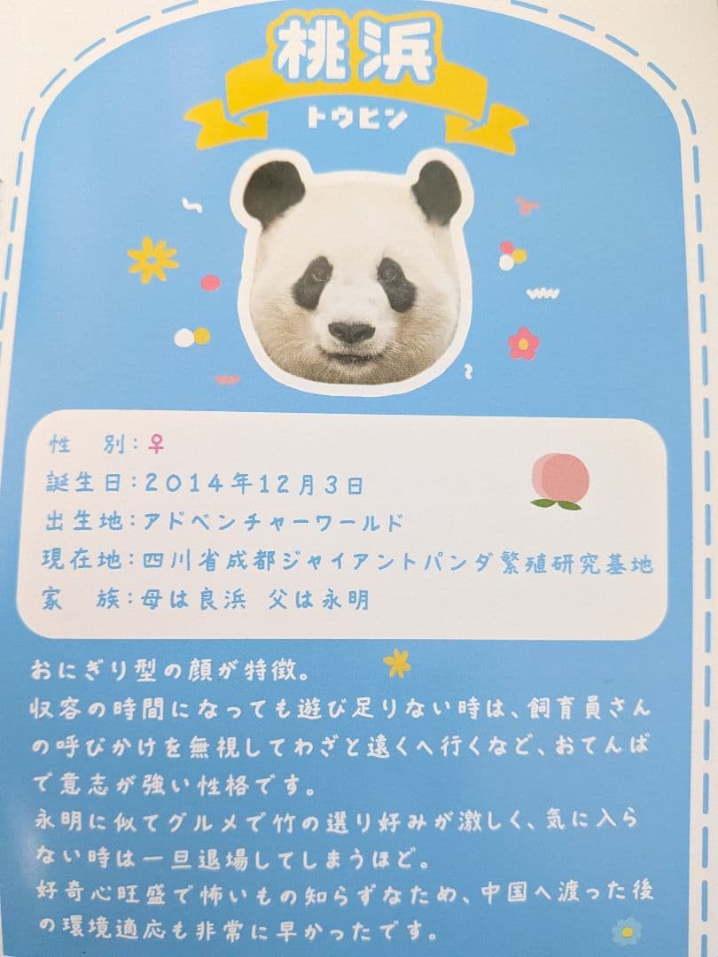 ウエノデパンダ 浜家 桃浜 彩浜